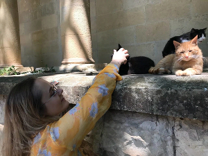 Хозяйка &laquo;Забавного места&raquo; Ангелина Таранова с котиками