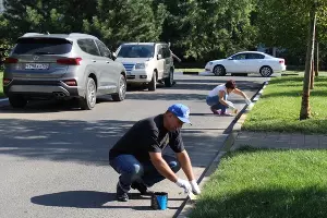 &copy;&nbsp;Фото пресс-службы администрации Краснодара