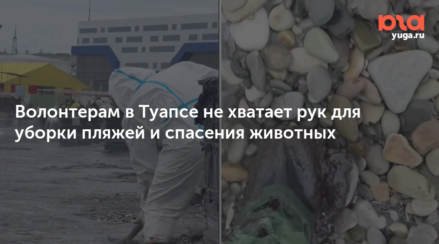Волонтерам в Туапсе не хватает рук для уборки пляжей и спасения животных