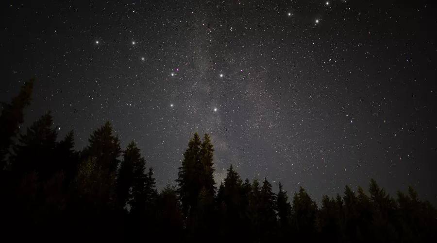  &copy;&nbsp;Фото freepik, сайт freepik.com