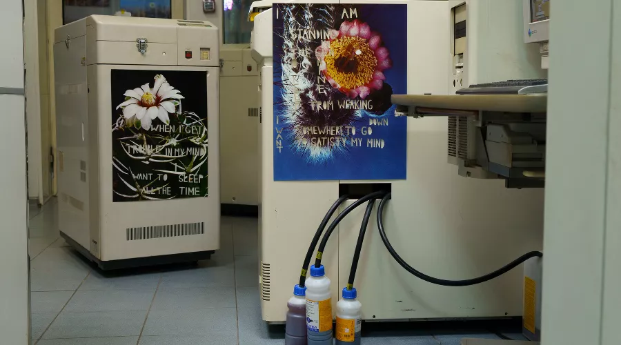 Шарлотта Эта Мумм, «Я стою на солнце, ретушь», 2019; «Когда у меня проблемы в голове, ретушь», 2019 &copy;&nbsp;Фото Ангелины Венмер