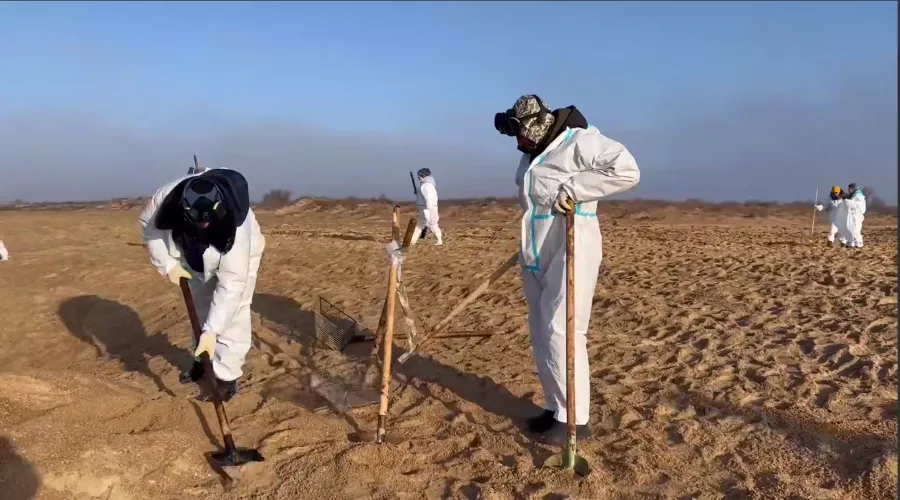  &copy;&nbsp;Скриншот фото из телеграм-канала &laquo;Оперативный штаб - Краснодарский край&raquo;