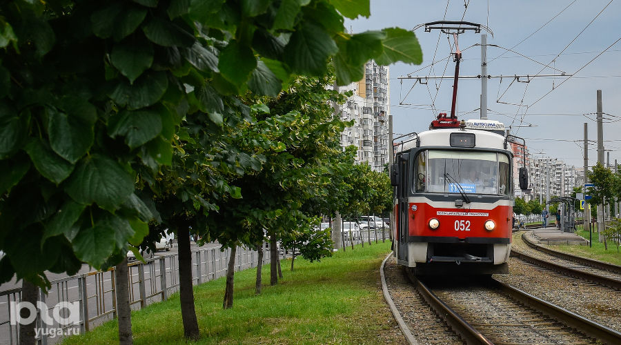  © Фото Елены Синеок, Юга.ру