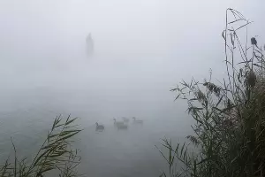 Туман в парке «Солнечный остров» &copy;&nbsp;Фото Елены Синеок, Юга.ру