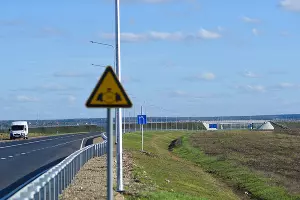  &copy;&nbsp;Фото Алексея Гусева