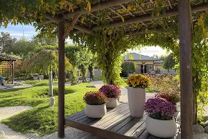 Садовые коридоры Цубонива кайр &copy;&nbsp;Фото Марины Солошко, Юга.ру