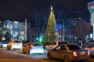  © Фото Елены Синеок, Юга.ру