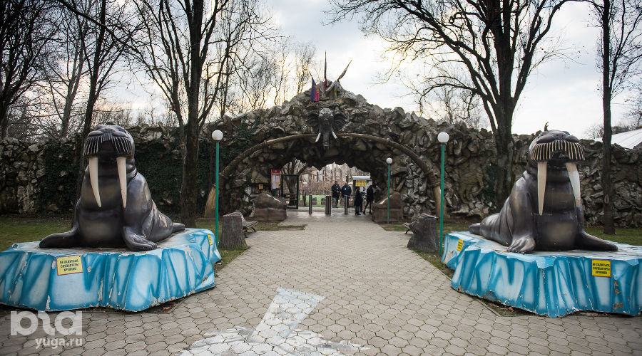 Краснодарский «Сафари-парк» © Фото Елены Синеок, Юга.ру