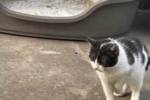  &copy;&nbsp;Фото Даниила Вальца