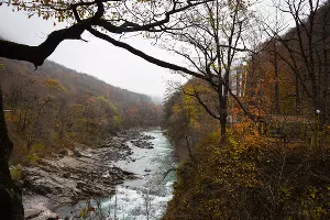 Река Белая. Республика Адыгея &copy;&nbsp;Фото Елены Синеок, Юга.ру