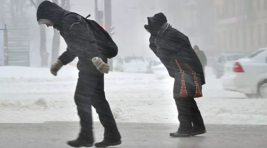  &copy;&nbsp;Фото Андрея Бойко, Юга.ру