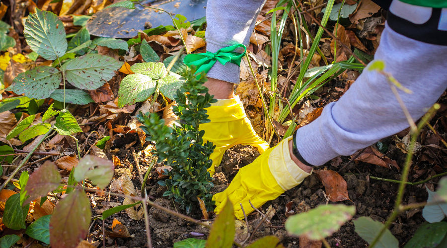  © Фото пресс-службы главы Республики Адыгея