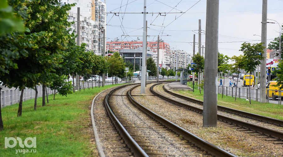  &copy;&nbsp;Фото Елены Синеок, Юга.ру
