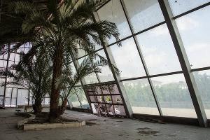  © Фото со страницы Владимира Вербицкого в фейсбуке, facebook.com/vladimir.verbitskiy