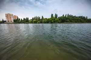  &copy;&nbsp;Фото Елены Синеок, Юга.ру