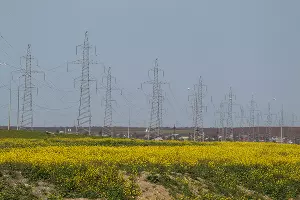  &copy;&nbsp;Фото Виталия Тимкива, Юга.ру