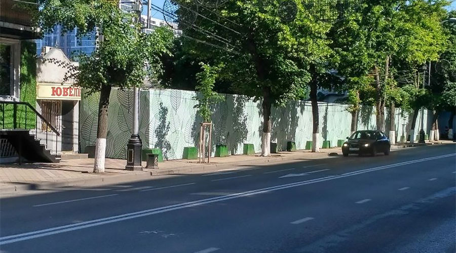  © Фото пресс-службы администрации Краснодара