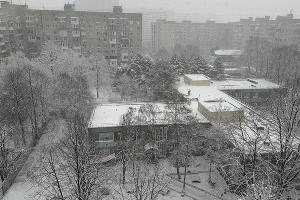  &copy;&nbsp;Фото Марии Журавлевой, Юга.ру