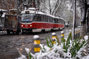 Снег в Краснодаре © Фото Елены Синеок, Юга.ру