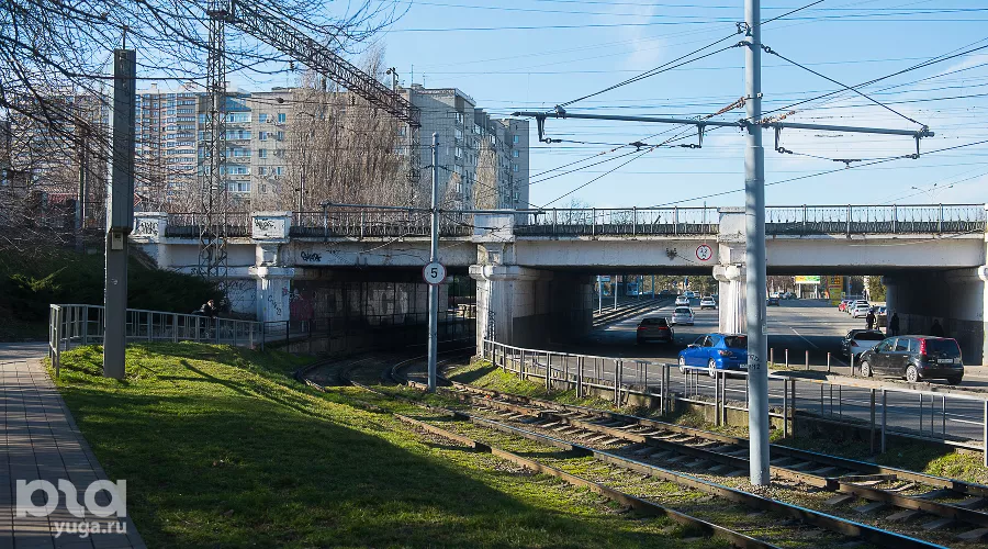  &copy;&nbsp;Фото Елены Синеок, Юга.ру