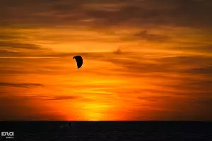  &copy;&nbsp;Елена Синеок, ЮГА.ру