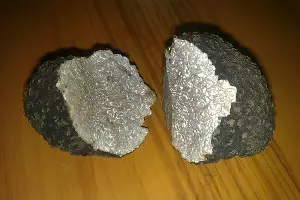 Трюфели из Краснодарского края &copy;&nbsp;Из архива Михаила Вишневского