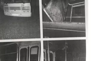  &copy;&nbsp;Фото из из телеграм-канала &laquo;Телетайп Краснодара&raquo;, t.me/tipichkras