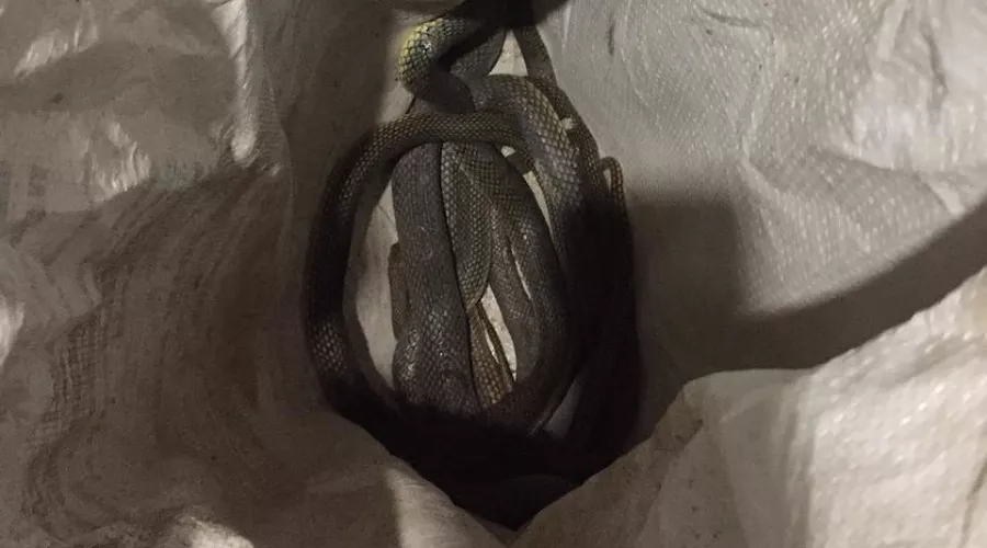  &copy;&nbsp;Фото пресс-службы &laquo;Кубань-Спас&raquo;