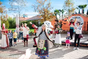  &copy;&nbsp;Фото пресс-службы &laquo;Сочи Парка&raquo;