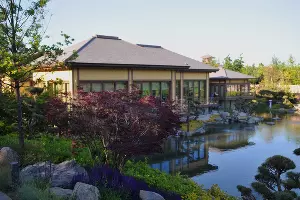 Шалфей в Японском саду парка &laquo;Краснодар&raquo; &copy;&nbsp;Фото Марины Солошко, Юга.ру