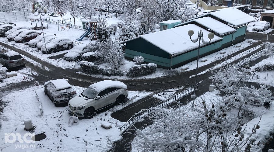  © Фото Елены Синеок, Юга.ру