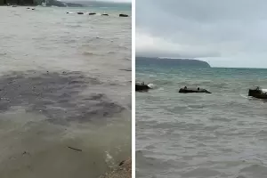  &copy;&nbsp;Скриншоты из видео Екатерины Штерн