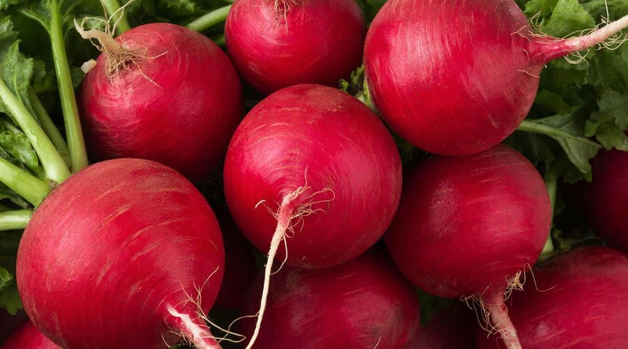 редис &copy;&nbsp;Изображение сгенерировано нейросетью Gigachat