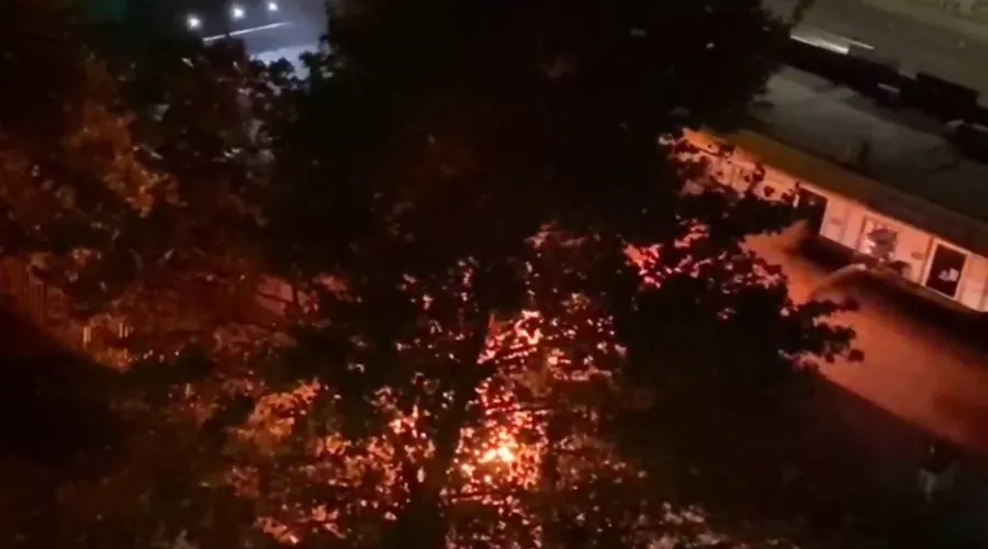  &copy;&nbsp;Скриншот видео из телеграм-канала t.me/typodar/