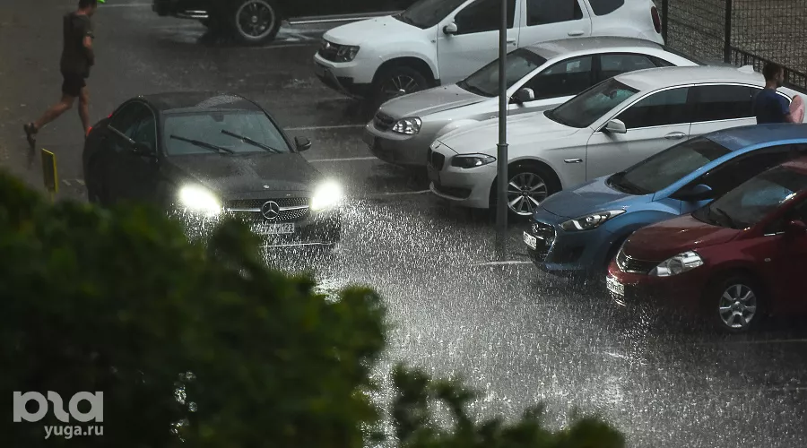  &copy;&nbsp;Фото Елены Синеок, Юга.ру