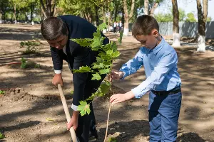 Парк имени Ивана Семыкина в станице Тбилисской &copy;&nbsp;Фото Евгения Мельченко, Юга.ру