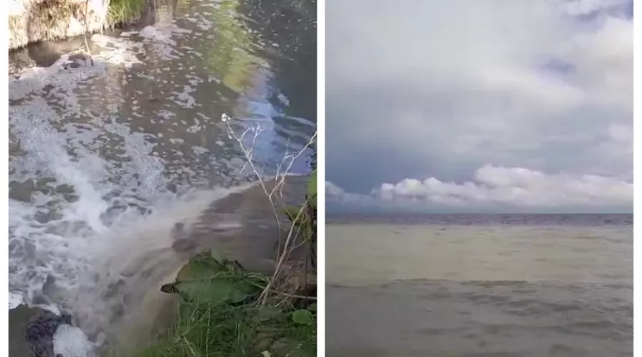  &copy;&nbsp;Скриншот из телеграм-канала &laquo;Глебовский округ&raquo; https://t.me/glebovskiyokrug_actual_nvrsk/5576?single