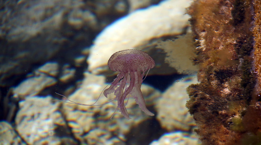  © Фото пользователя  wirestock с сайта freepik.com