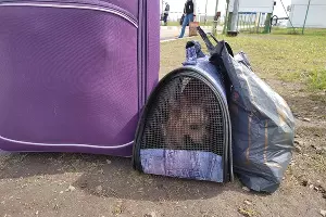  &copy;&nbsp;Фото Иолины Грибковой, Юга.ру