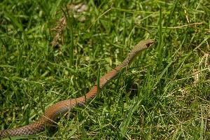  © фото с сайта pixabay.com