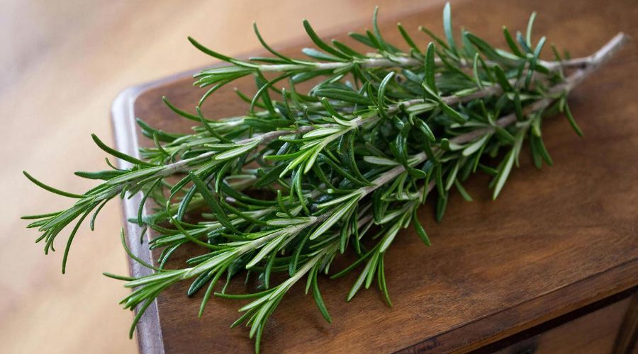 розмарин &copy;&nbsp;Изображение сгенерировано нейросетью Gigachat