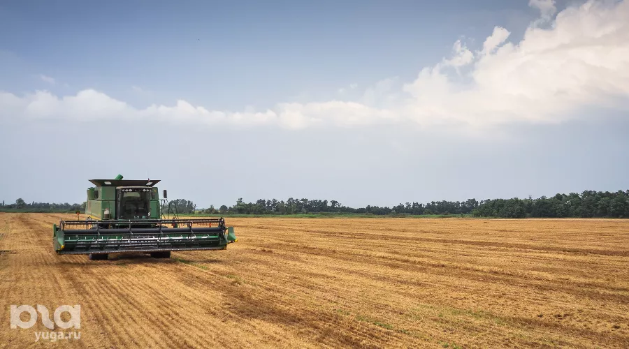  &copy;&nbsp;Елена Синеок, ЮГА.ру