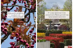  &copy;&nbsp;Скриншот из телеграм-канала &laquo;Парк Краснодар&raquo; https://t.me/parkkrd/5880