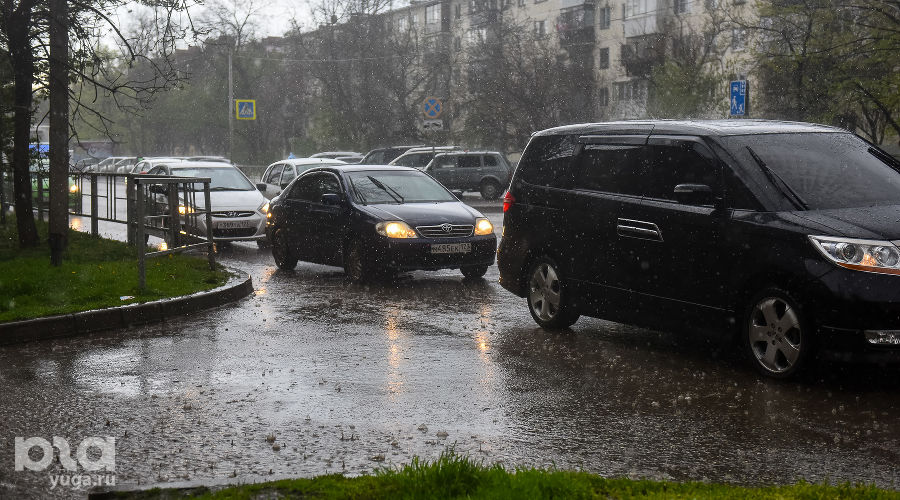  © Фото Елены Синеок, Юга.ру