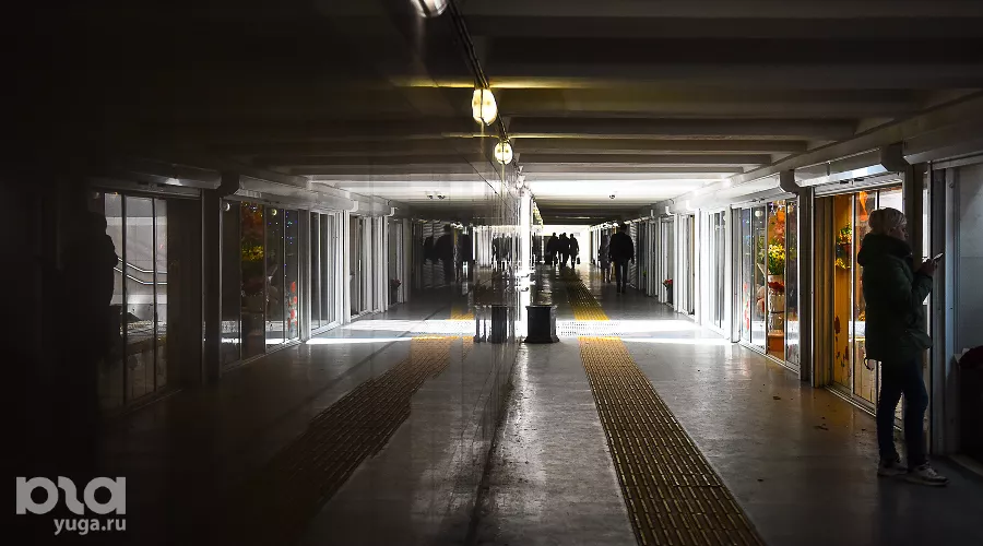  &copy;&nbsp;Фото Елены Синеок, Юга.ру