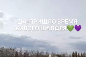  &copy;&nbsp;Скриншот со страницы instagram.com/officialparkkrasnodar