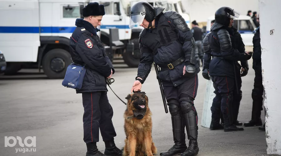  &copy;&nbsp;Фото Елены Синеок, Юга.ру