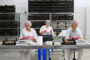  &copy;&nbsp;Фото Марины Солошко, Юга.ру