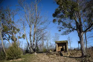  &copy;&nbsp;Фото Елены Синеок, Юга.ру