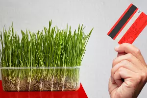  &copy;&nbsp;Коллаж Дмитрия Пославского, Юга.ру